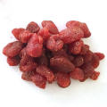 Dried strawberry fruit was provided by Chinese supplier